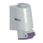 ILME - ILMPB 16003 PP PR.PARETE 24V 16A 3P