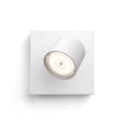 SIGNIFY ITALY SPA - PCL5624031P0 STAR FARETTO SINGOLO BIANCO IN METALLO