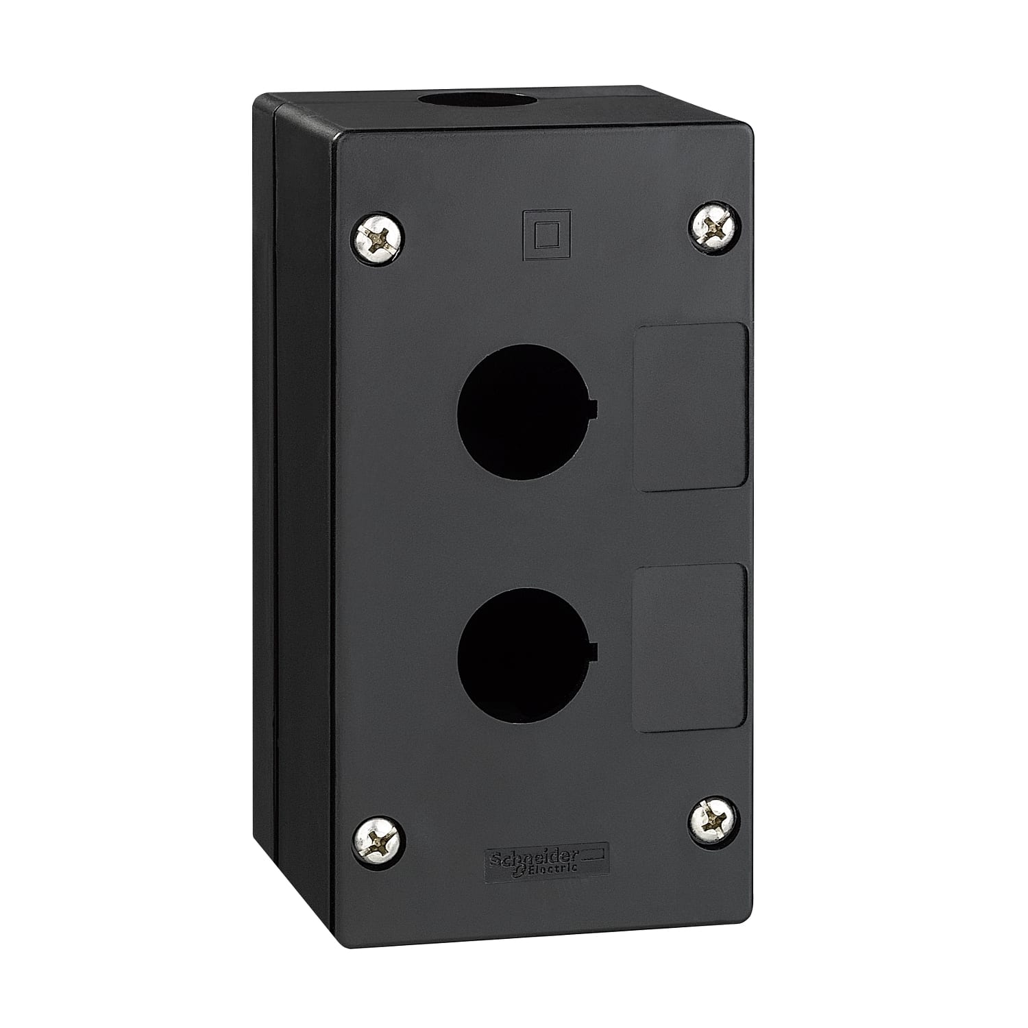 SCHNEIDER ELECTRIC - SNRXALG020 Pulsantiera vuota ambienti aggressivi - nero - 2 fori - 2 fori