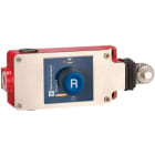 YAGEO TMSS ITALY SRL - TSIXY2CH13190H29 INTERR. SICUREZZ CAVO 2NC+1NO M20