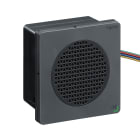 SCHNEIDER ELECTRIC - SNRXVSV9BBP Allarme elettronico modificabile - DIN96 - VNC/NOE - nero - PNP - 12-24 VDC
