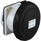 SCHNEIDER ELECTRIC - SNR81686 PRESA INC.DIR.IP67 3PNT 63A 500V