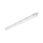 SIGNIFY ITALY SPA - PHA16318100 CoreLine Stagna, 44.5 W, L1500 mm, 6000 lm, 4000 K, Fascio largo, Smerigliata, IP65, IK08, TW1-ready, Adels
