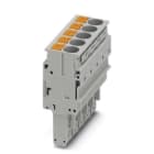 PHOENIX CONTACT - PHC3061606 PP-H 6/ 5 CONNETTORE PUSH-IN