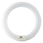 SIGNIFY ITALY SPA - PHLE3284 MASTER TL-E Circular Super 80 - Fluorescent lamp - Consumo energetico: 32.8 W - Classe di efficienza energetica: G