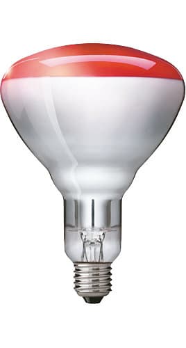 SIGNIFY ITALY SPA - PHLIR250RH Lampade a infrarossi per uso industriale - IR lamp - Consumo energetico: 250 W