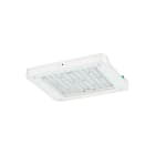 SIGNIFY ITALY SPA - PHA40772800 GentleSpace Gen3, 113 W, 17000 lm, 4000 K, DALI, Fascio medio, IP65, IK07