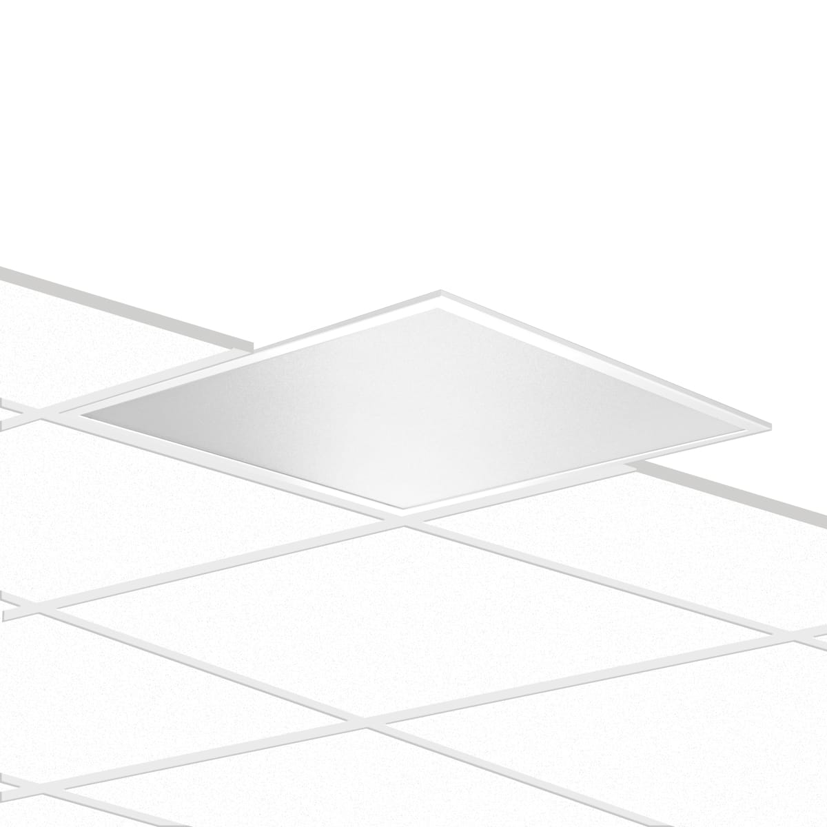 PERFORMANCE IN LIGHT - PRI3116607 PLATO 600 MP 28.5 830 UGR<19