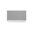 PLATEK LIGHT SRL - PLK1535662.02 SPECIAL APP (37W-4K) WIDE-2 FINESTRE -BI