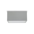 PLATEK LIGHT SRL - PLK1536661.02 SPECIAL APP (19W-4K) 1 FINESTRA-SOFT -BI