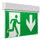 BEGHELLI - BEG17914 EXIT LGS24 DF20M