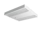 PERFORMANCE IN LIGHT - PRI06273587 LAMA+ S/EW 100 840 WH1 SMART
