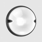 PERFORMANCE IN LIGHT - PRI3100163 CHIP TO25 9,5 S/EW 830 BK81