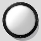 PERFORMANCE IN LIGHT - PRI3100232 EKO 26 14 S/EW 830 BK81