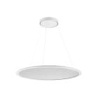 PERFORMANCE IN LIGHT - PRI8713461763410 SL713 RL PL 62 S/C 840 WH9016 MP