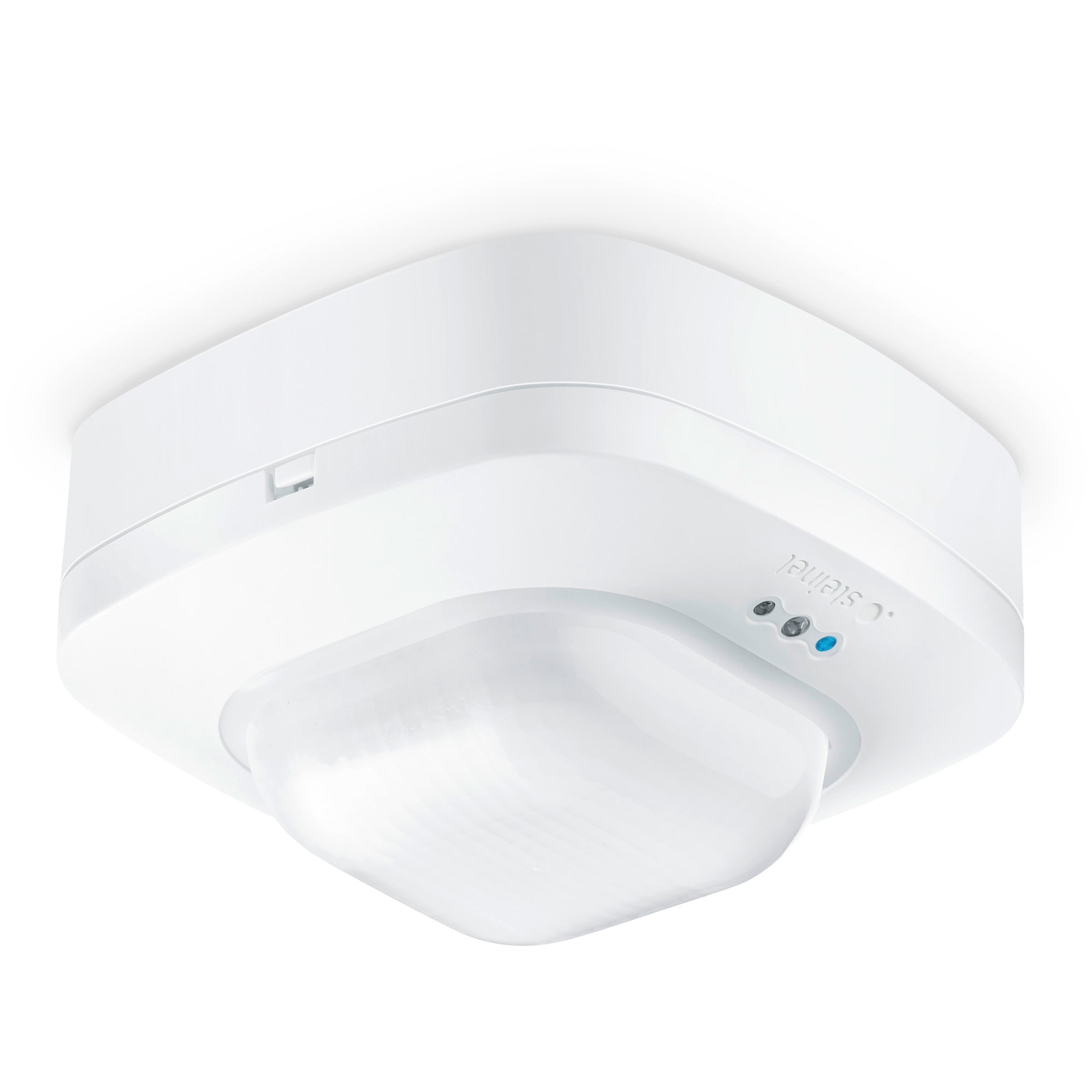 STEINEL ITALIA SRL - STX035273 PC PRO IR QUATTRO HD DALIPLUS SUPERFICIE