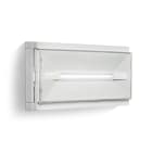 LINERGY SRL - LENPS1323 PRODIGY 550LM 1H SE/SA IP65 ENERGY TEST