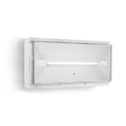 LINERGY SRL - LENPZ1303 PRODIGY XL 560LM 1H SE IP65 ENERGY TEST
