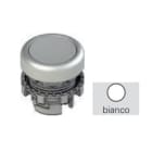 PIZZATO ELETTRICA - PZZE2 3PL2R229L241 PULSANTE LUMINOSO RASATO BIANCO CON MARC
