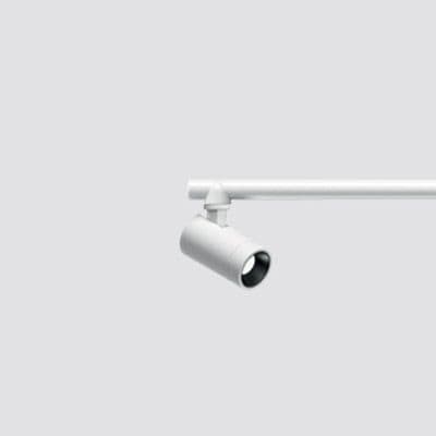 IGUZZINI ILLUMINAZI - IGZ3.Q642.704.0 PALCO L.V.SPOT D19 ASTA ORIZ.3000K CRI90