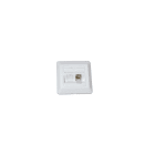 QUBIX SPA - QBX2004062 PLACCA CCS 80X80 INCLINATA 2 POS RJ45 BI