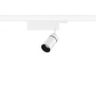 REGGIANI SPA ILLU - REG0.GH84E.NN12 YORI EVO DRIVER BOX PREC D60 17W FM