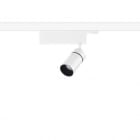 REGGIANI SPA ILLU - REG0.GH84E.HQ12 YORI EVO DRIVER BOX PREC D60 17W FM