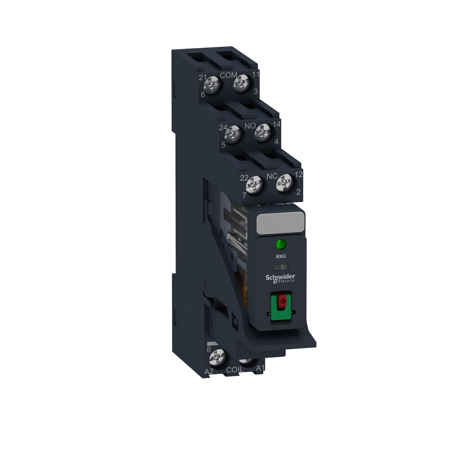SCHNEIDER ELECTRIC - SNRRXG22B7PV Relè RXG - pulsante test+LED pre-montato - base-2NC/NO 5A 24Vca + varistore