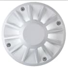 SIDE SPA - SDEE8398-LBN OLODUM 130 COVER 3W 49LM 4000K IP67 GR 2