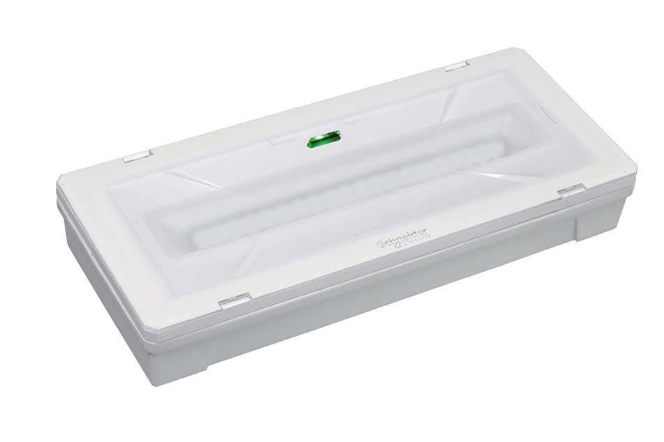 SCHNEIDER ELECTRIC - SNROVA48701 Exiway Smartled, IP65, da Soccorritore 230V, 650lm, illuminazione di sicurezza