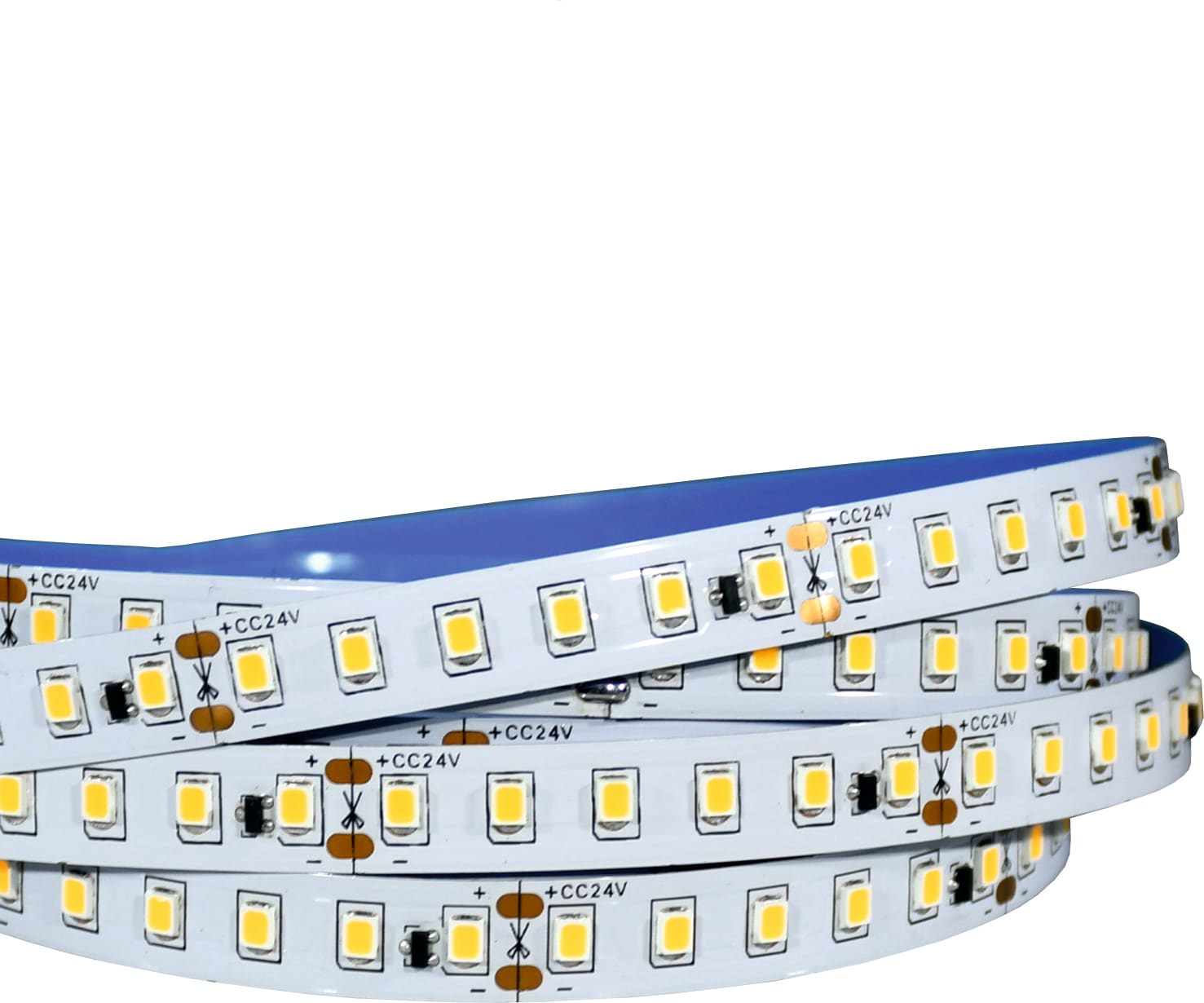 ELCOM SRL - EOW06515 STRIP 120LED/M 12W/M 58K 10M IP65