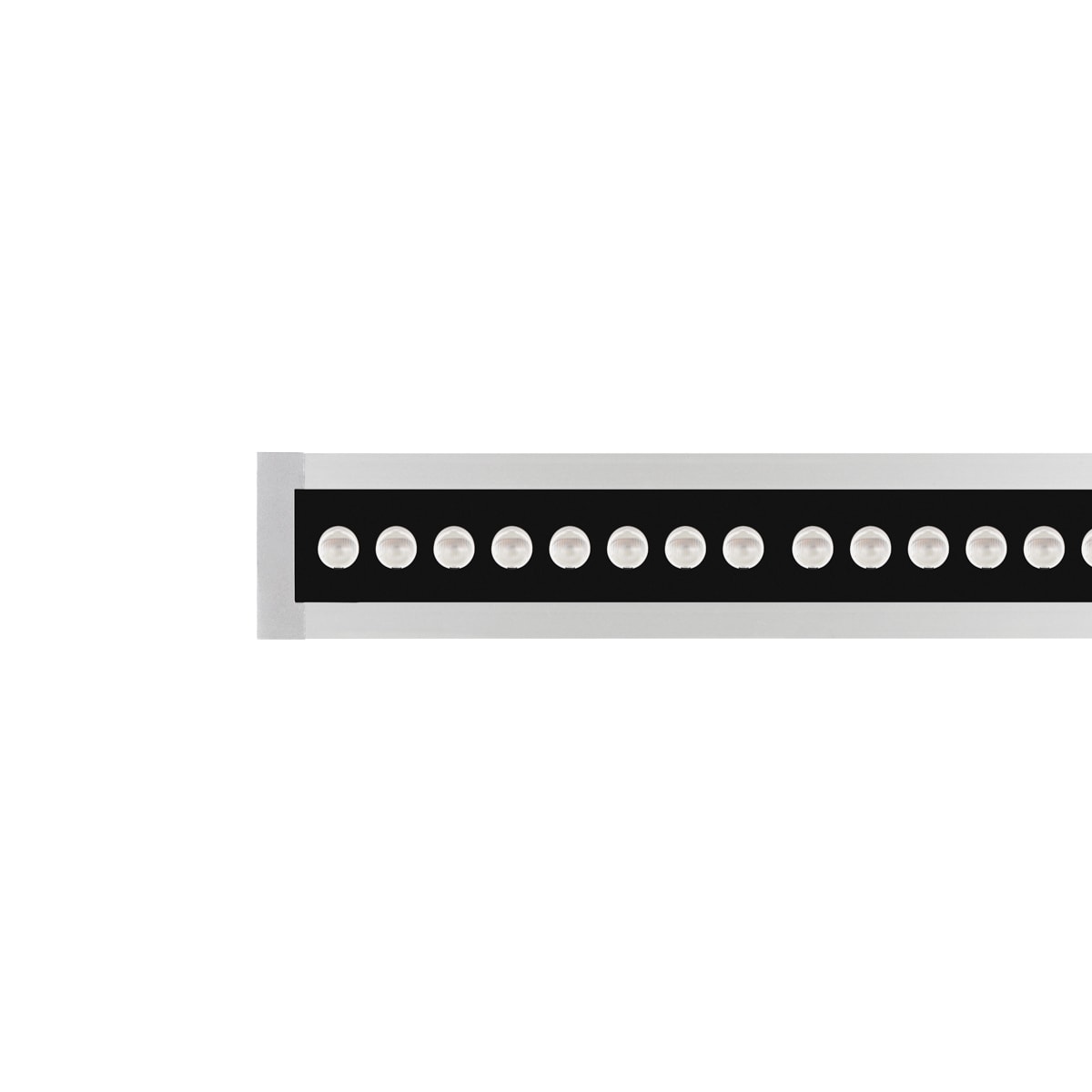 PERFORMANCE IN LIGHT - PRI3109371 STRIP SQ+ ING 1050 24 A/M 830 GR11