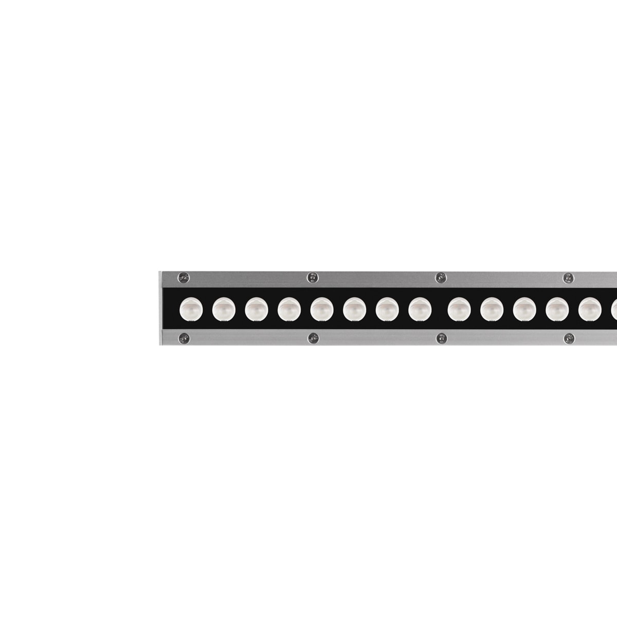 PERFORMANCE IN LIGHT - PRI3109294 STRIP SQ+ 1032 24 A/M 840 GR11