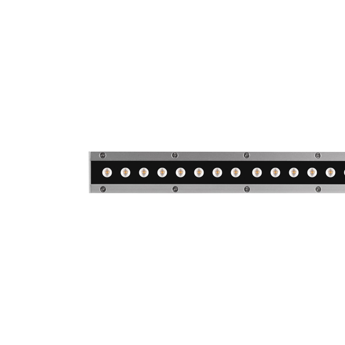 PERFORMANCE IN LIGHT - PRI3109292 STRIP SQ+ 1032 24 40X60 840 GR11