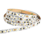 SICOM (TRIDONIC) - TDN87500538 LLE FLEX G1 8X4800 23W-2500LM/M 940 EXC