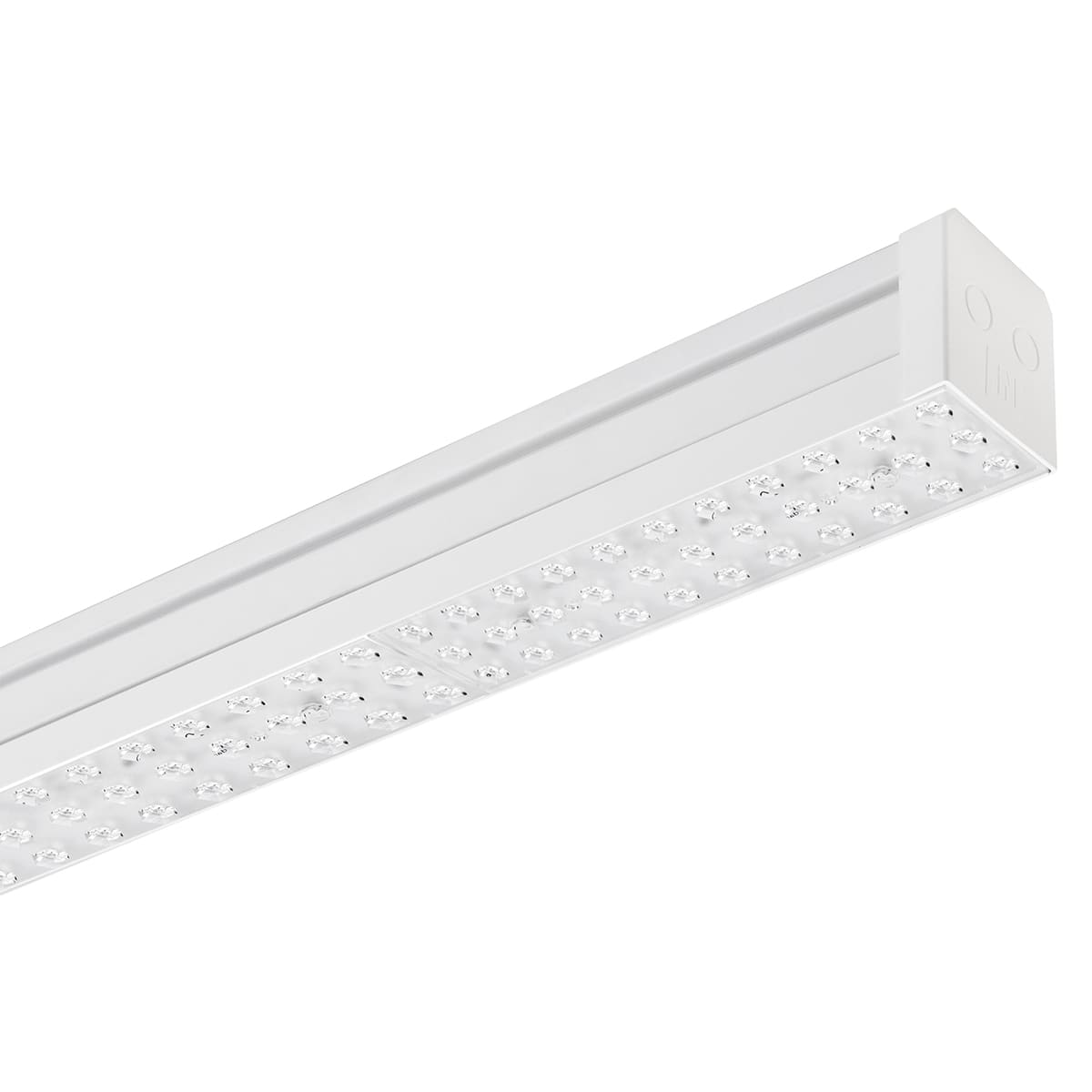 PERFORMANCE IN LIGHT - PRI305674 TRY S/W 50-830-88