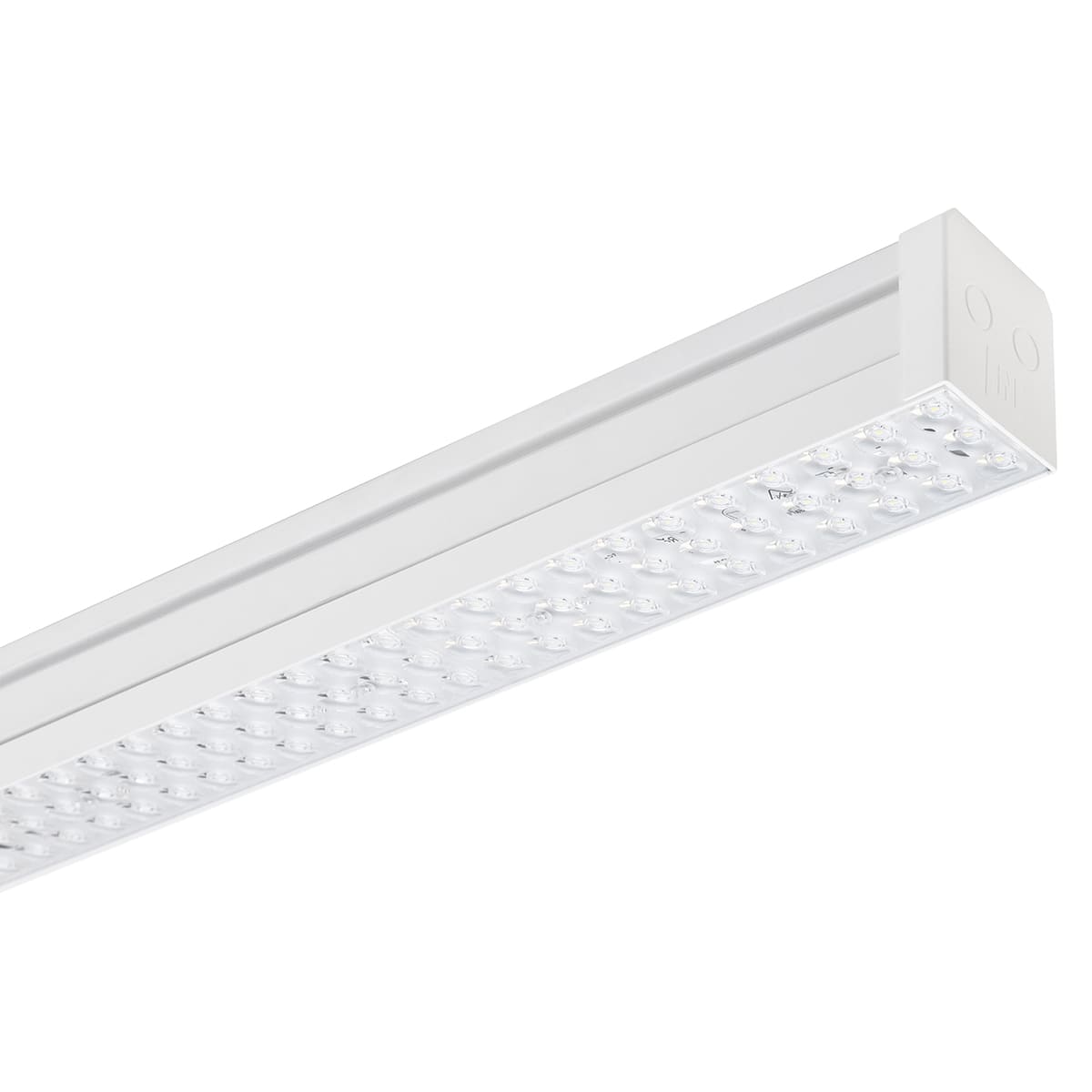 PERFORMANCE IN LIGHT - PRI305918 TRY S/EW 31-830-88