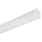 PERFORMANCE IN LIGHT - PRI305666 TRY S/EW 39-830-88