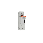 MERSEN ITALIA SPA - XESZ331153 US141