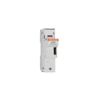 MERSEN ITALIA SPA - XESB331155 US141M