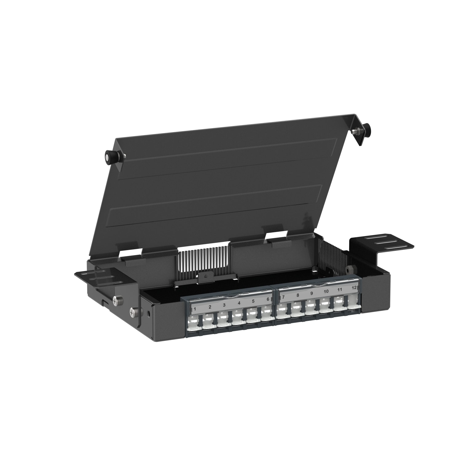 SCHNEIDER ELECTRIC - SNRVDIM61212B Consolidation box rame, Actassi, 12 x S-One, STP, da accessoriare con prese RJ45