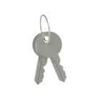 PIZZATO ELETTRICA - PZZVF KLB300 COPPIA DI CHIAVI DELLA SERRATURA