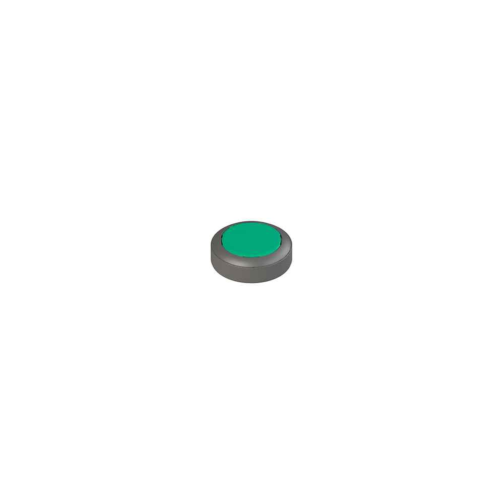 PIZZATO ELETTRICA - PZZVN NG-AC27124 PULSANTE ILLUMINABILE AD IMPULSO VERDE