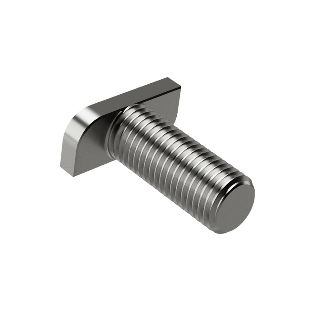 CONTACT ITALIA SRL - IICVT1002 VITE M10X25 TESTA A MARTELLO INOX