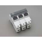 WOEHNER ELECTROTECHN - WOH31143000 AMBUS X FUS, 22X58, 3P CON LED