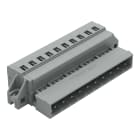 WAGO ITALIA SRL - WAG231-610/019-000 CONNETTORE MASCHIO PER 1 CONDUTTORE CAGE