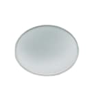 IGUZZINI ILLUMINAZI - IGZ3.X263.065.0 VETRO DIFFONDENTE D=30