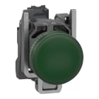 SCHNEIDER ELECTRIC - SNRXB4BVG35 Lampada spia, Harmony XB4, metallo, verde, 22 mm, LED universale, gemma liscia, 110...120 V CA, contatti Push-in