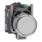 SCHNEIDER ELECTRIC - SNRXB4BW31B55 PULSANTE LUM. BIANCO 24V NO+NC PUSH-IN