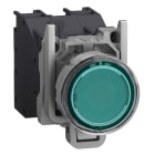 SCHNEIDER ELECTRIC - SNRXB4BP383BM5GEX Pulsante luminoso verde con cappuccio ATEX 24..240V
